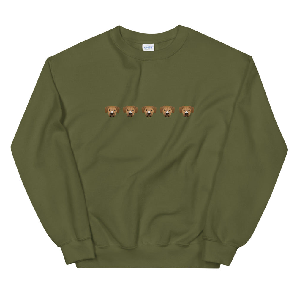 SC Custom Sweatshirt